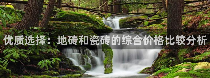 华润娱乐枷92222：优质选择：地砖和瓷砖的综合价格比较分析