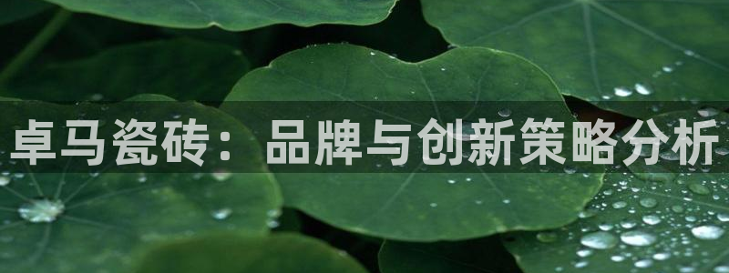 华润娱乐罢92222