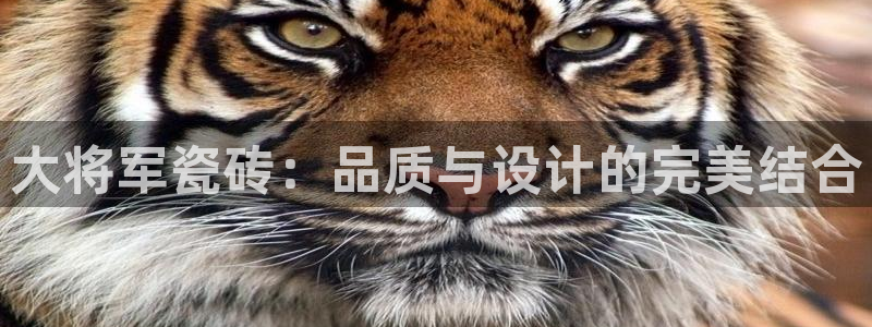华润娱乐疗92222