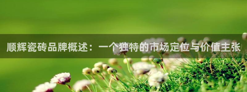华润娱乐2主管