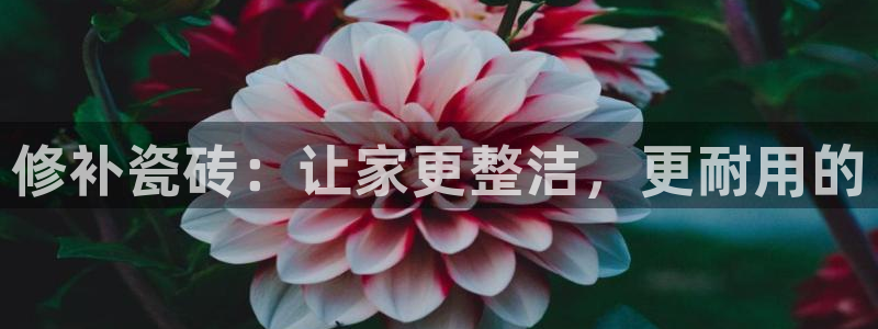 华润娱乐f3指尖