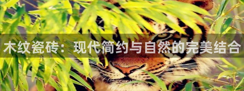 华润五彩城娱乐