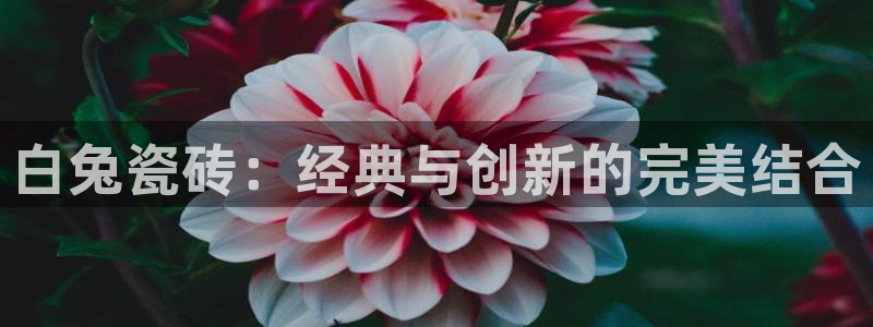 华润娱乐枷92222