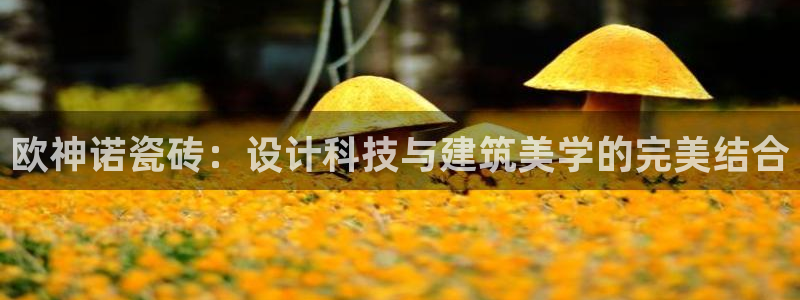 华润休闲娱乐垂钓