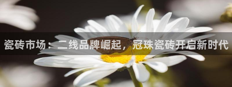华润娱乐总管是谁呀老板