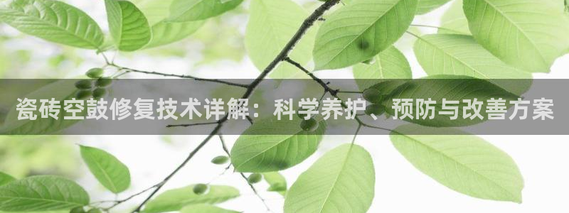 华润娱乐湛95692