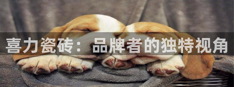 华润娱乐寻92222