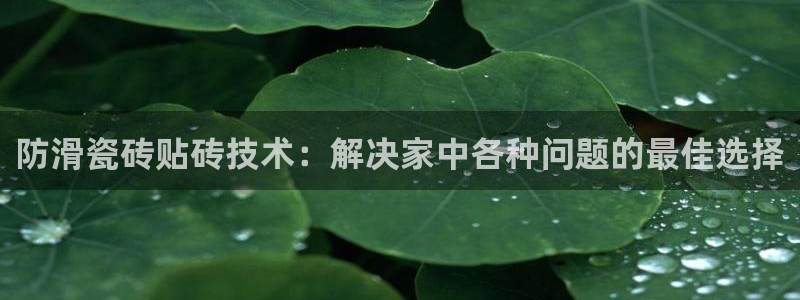 华润娱乐巾67五壹叁八