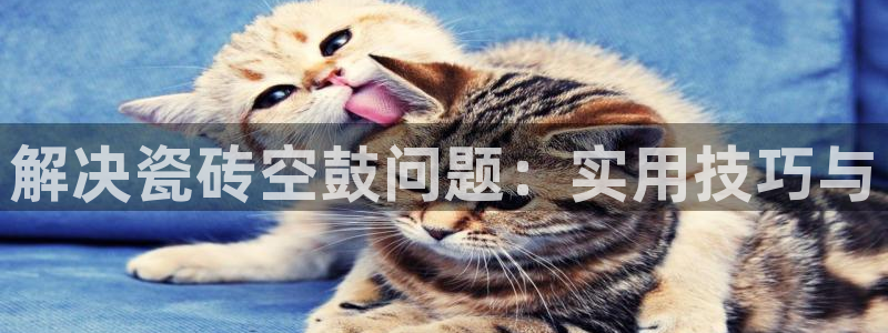 华润注册平台娱乐