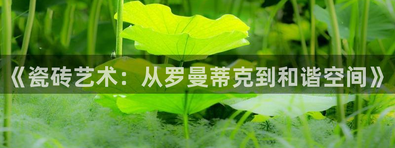 华润娱乐招商