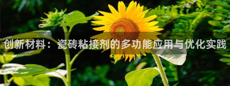 高州华润娱乐项目介绍