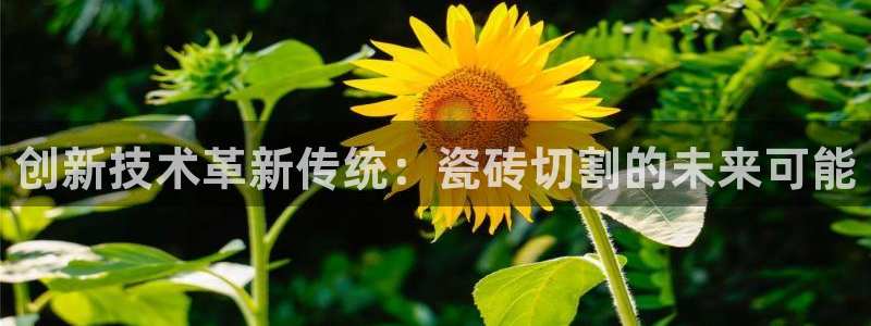 小智娱乐华润