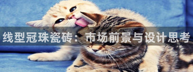 华润娱乐铀122222