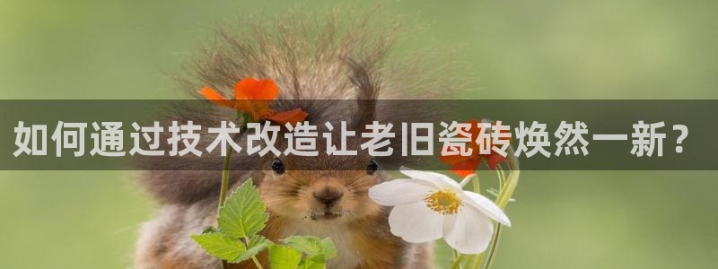 华润娱乐比92222