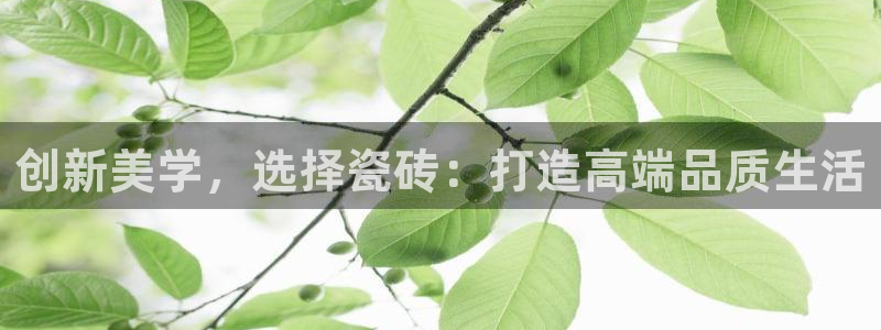 华润时代娱乐项目介绍