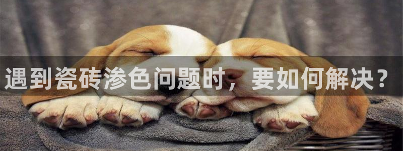 华润娱乐官方电话