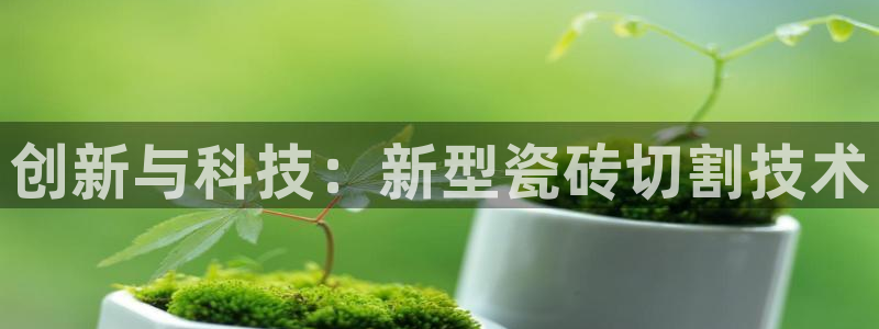 华润娱乐h3指尖