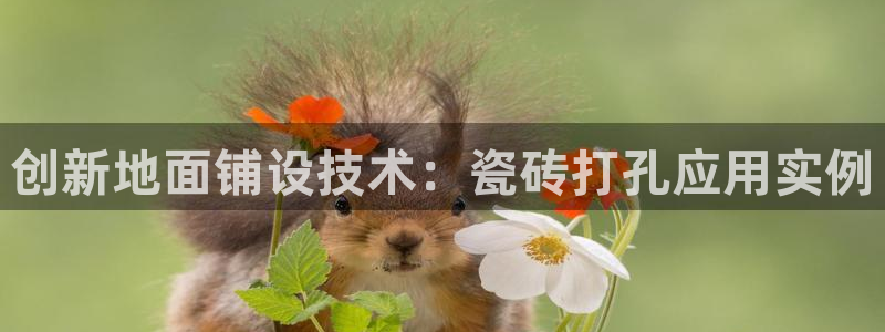 华润娱乐聪95692