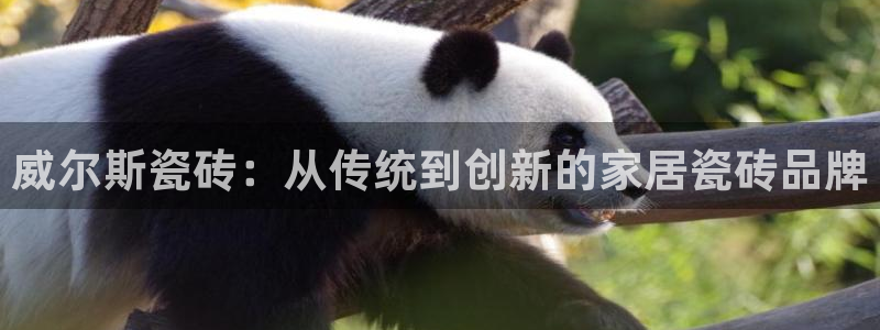 华润娱乐地5指尖