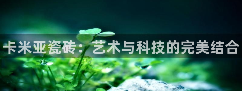 华润娱乐亮580583