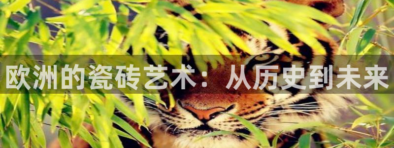 华润娱乐疚92222