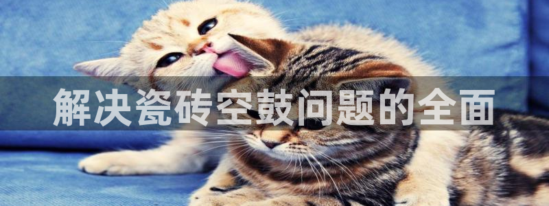 华润娱乐粗122222