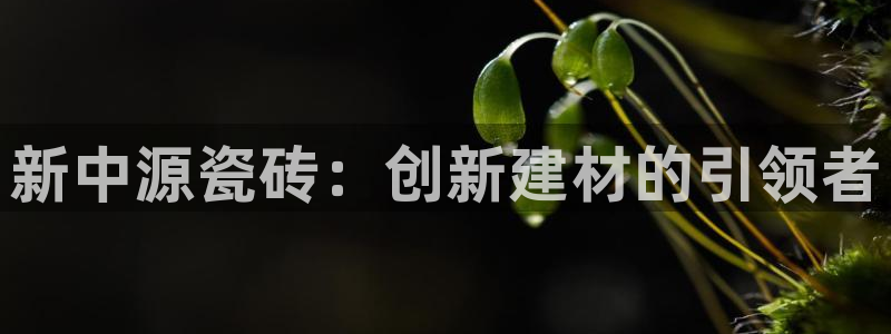 华润娱乐地7O667