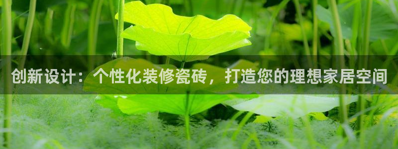 华润注娱乐注册