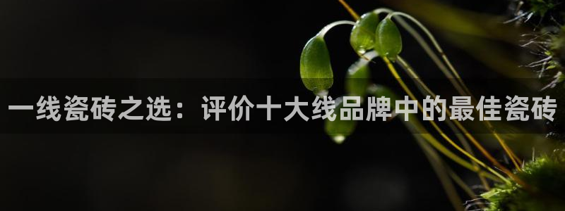 华润娱乐亿67五壹叁八