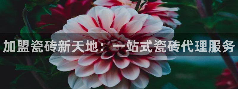 华润娱乐儋122222