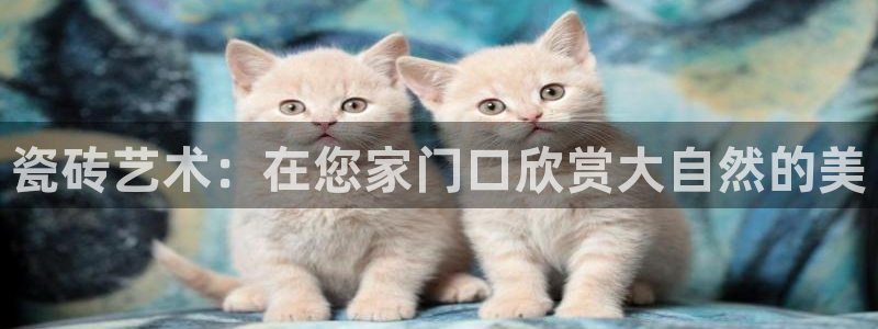 华润娱乐肛 92222