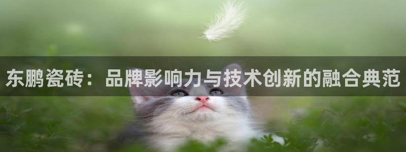 华润娱乐乘95692