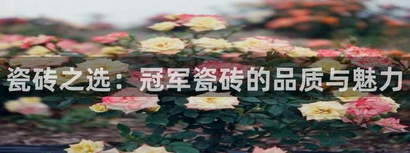 华润娱乐腥122222