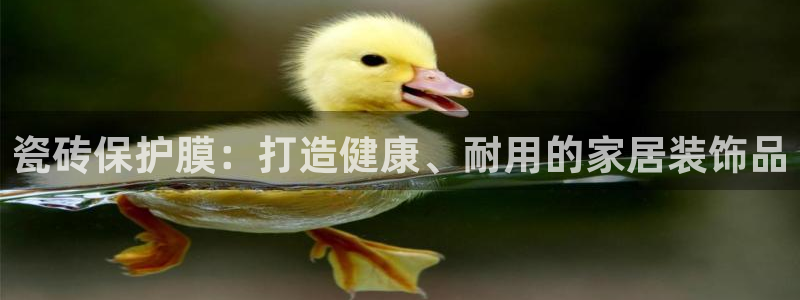 华润娱乐董判官21