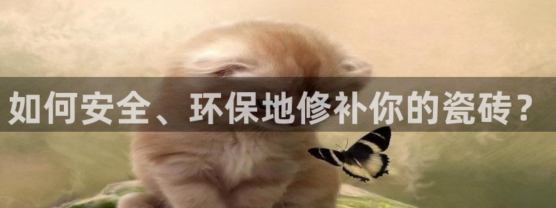 华润时代娱乐项目