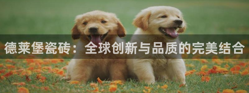 华润娱乐罢92222