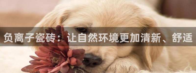 华润娱乐来认772 2