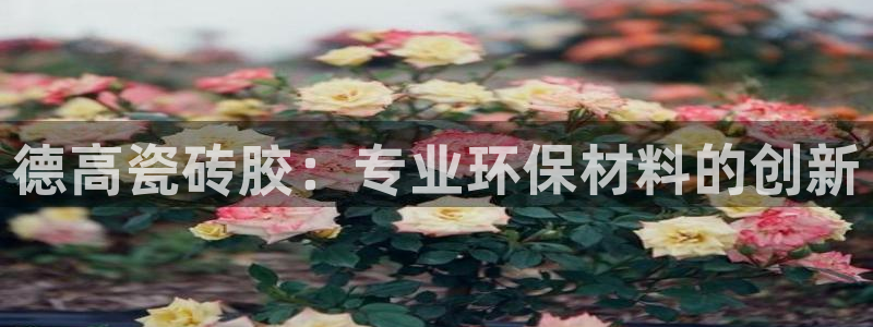 华润娱乐董判官21