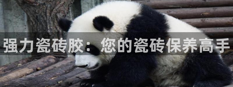 华润娱乐沂92222