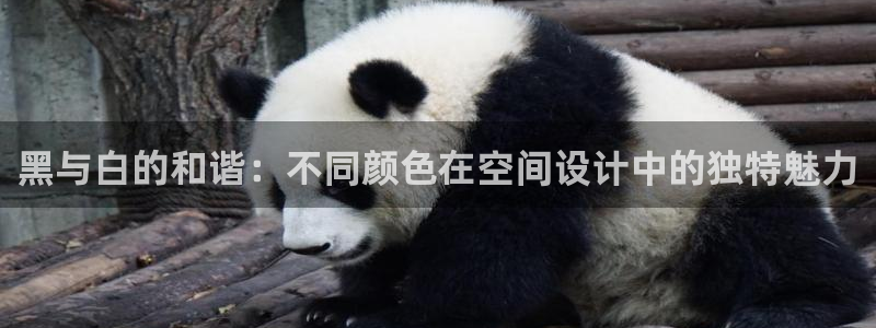 华润娱乐平台招商