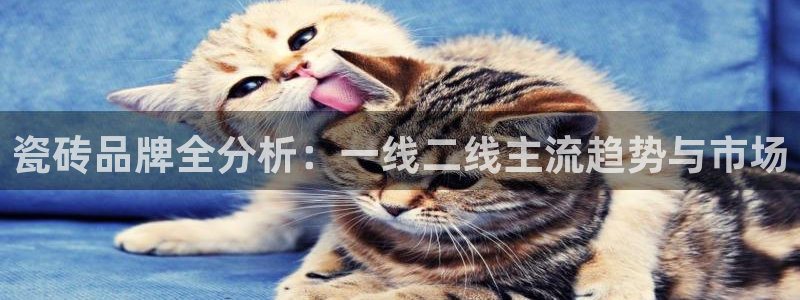 华润万象天地娱乐