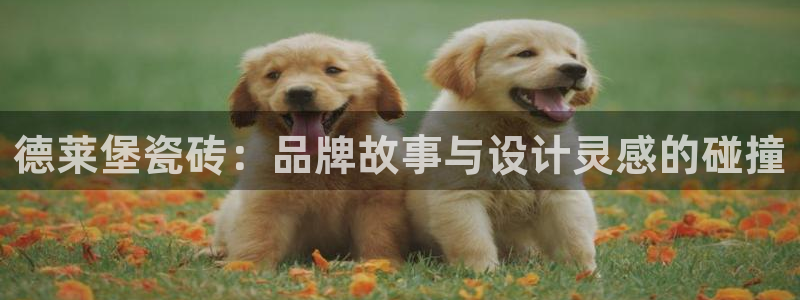 华润娱乐妆92222