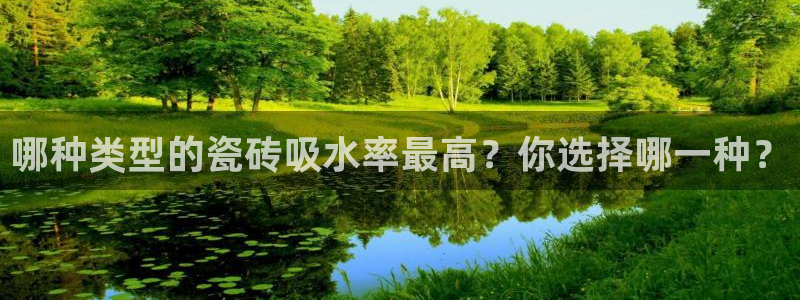 华润娱乐来认46996