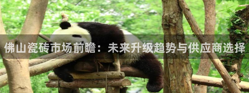 小智娱乐华润