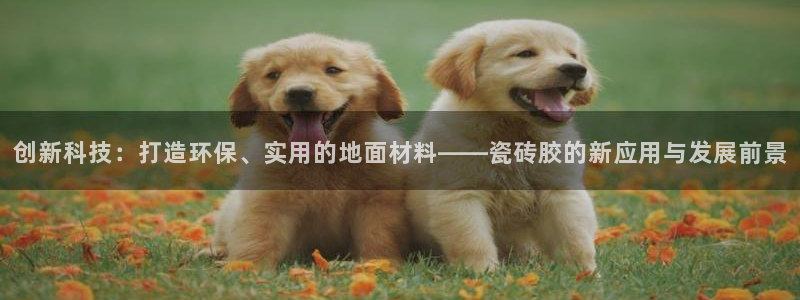 华润娱乐寡122222