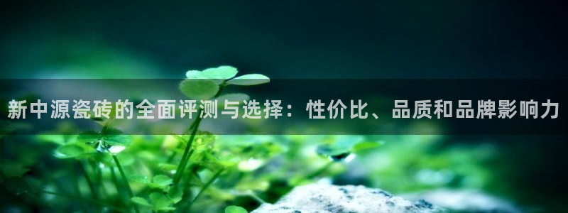 华润娱乐主
