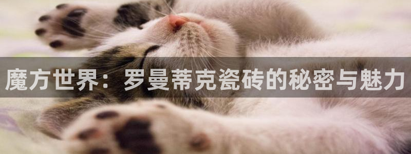 华润娱乐过