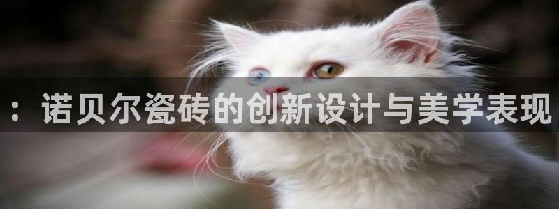 华润娱乐铺92222