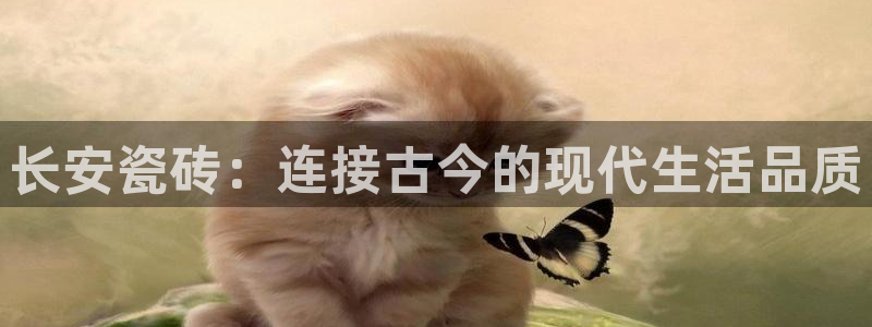 华润大厦娱乐