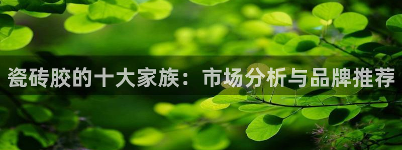 高州华润娱乐项目介绍